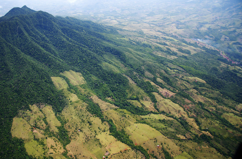 Cubiertas forestales y respuesta microclimática